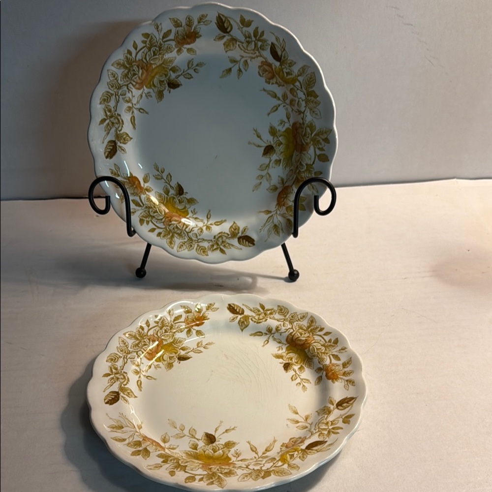 Gold and Cream Scalloped Floral Dinnerware